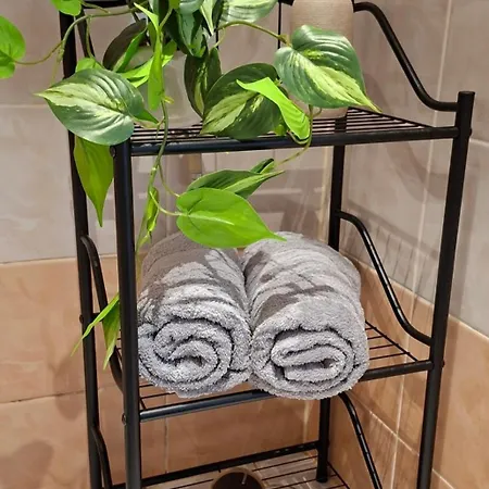 Apartament Rohu