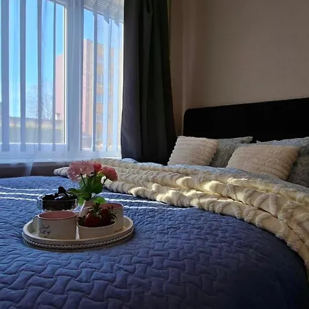 Apartament Rohu *